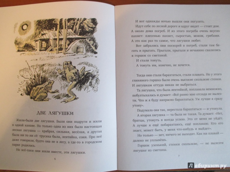 «две лягушки» - краткое содержание сказки л. пантелеева для читательского дневника