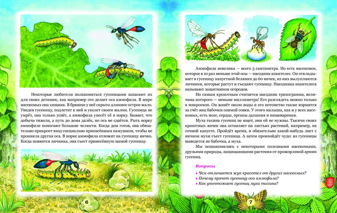Методическая разработка занятия
«насекомые вокруг нас»
для детей старшего дошкольного возраста | дошкольное образование  | современный урок