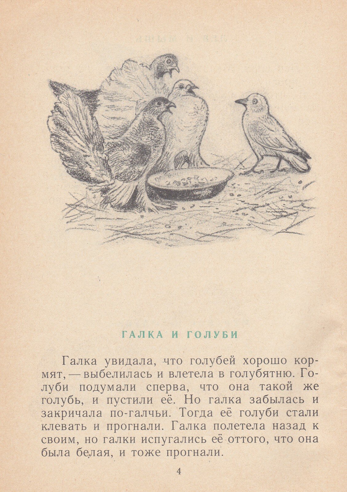 Муравей и голубка орфограммы
