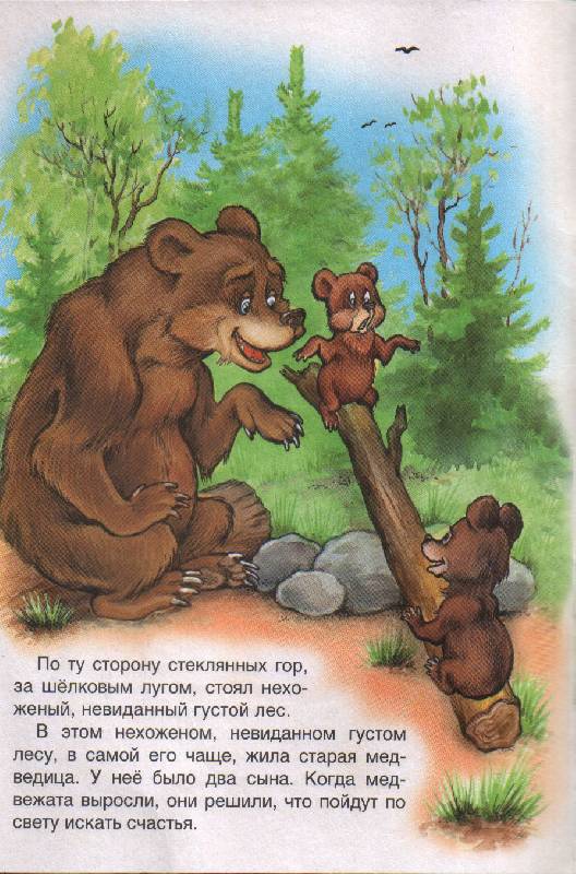 Сказка «два жадных медвежонка»