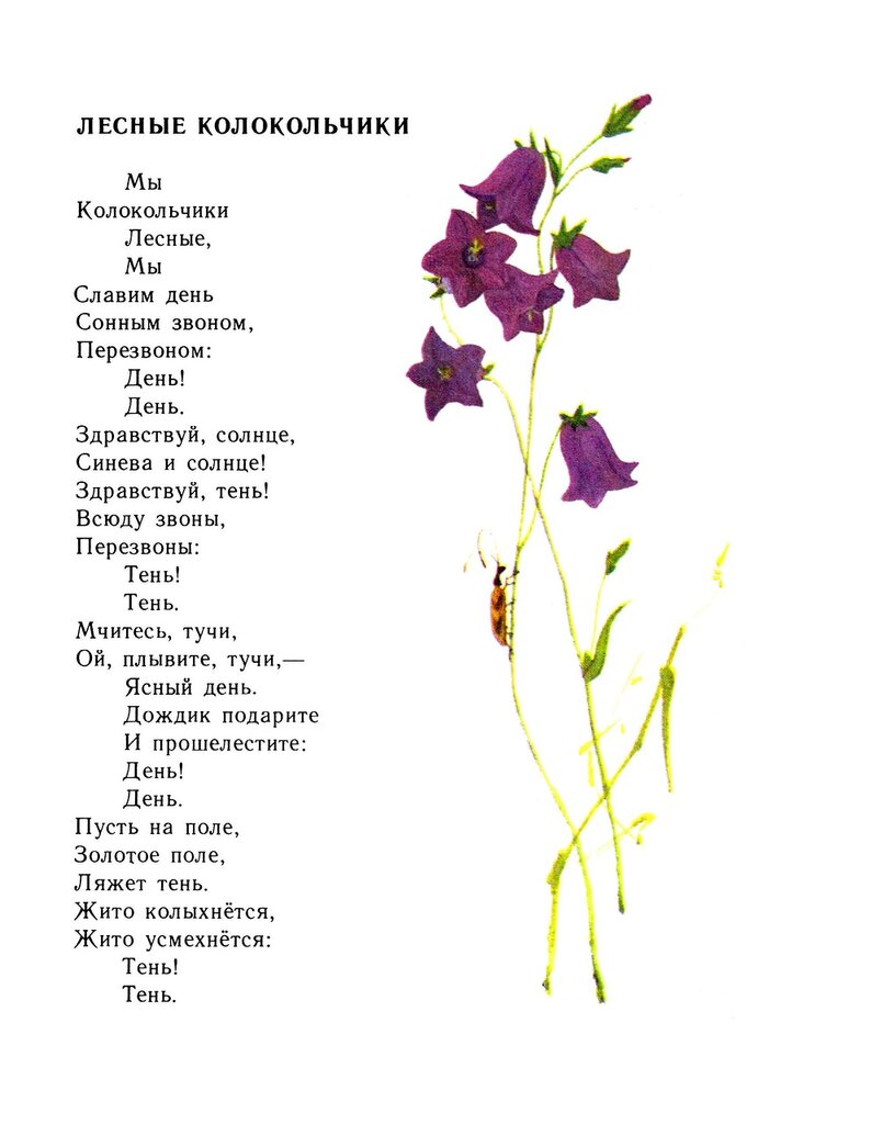 Стихи про цветы для детей