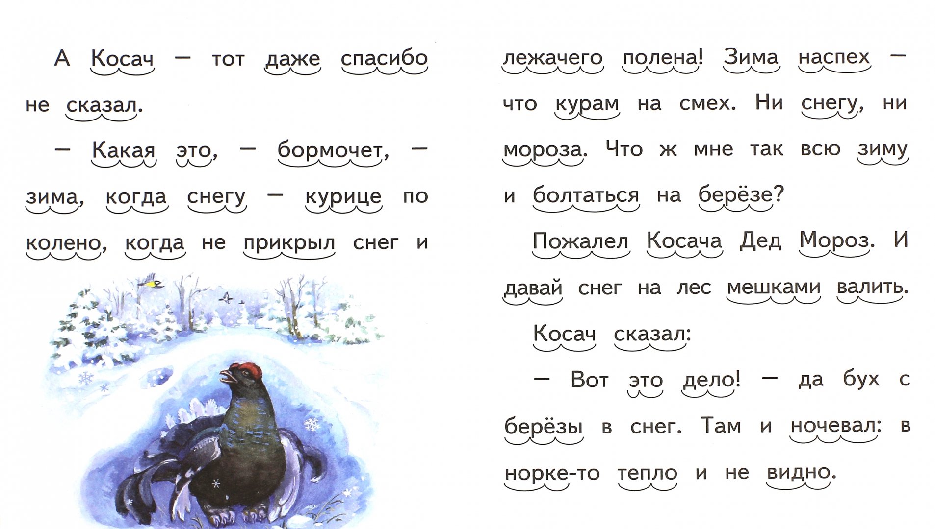 Читать «заяц-косач, медведь и весна» онлайн (автор виталий валентинович бианки)