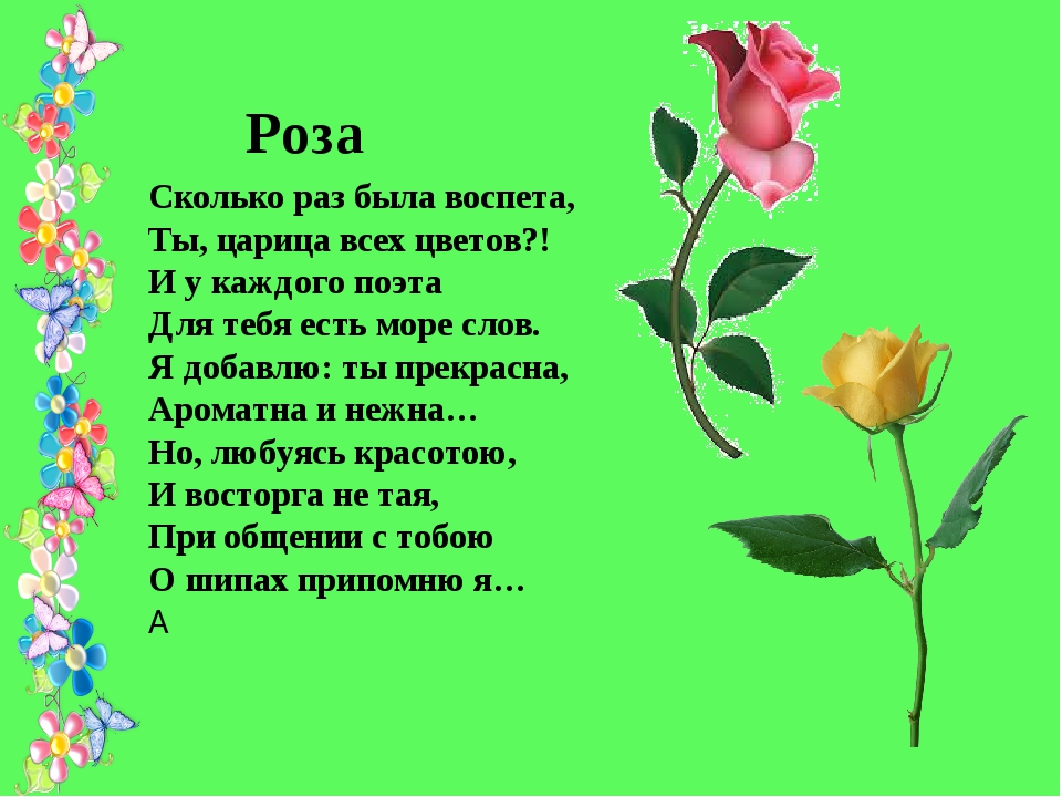 Стихи про цветы русских поэтов классиков: красивые стихотворения для детей, взрослых - рустих
