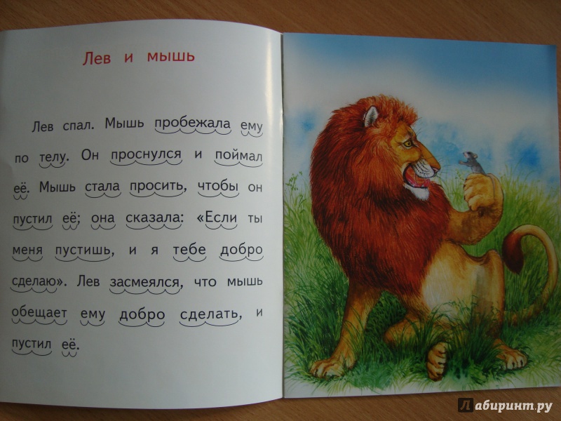 Король лев читать онлайн элизабет рудник  | knizhnik.org