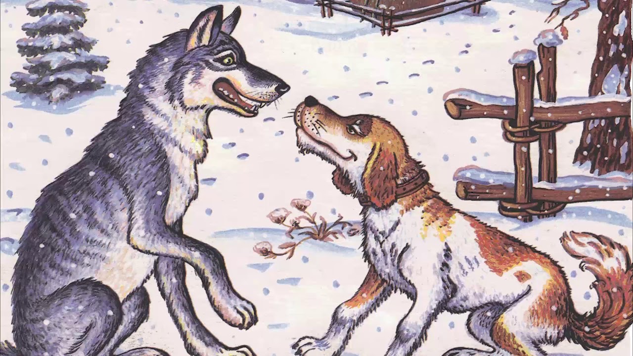 Сказка про волка и собаку (япония)