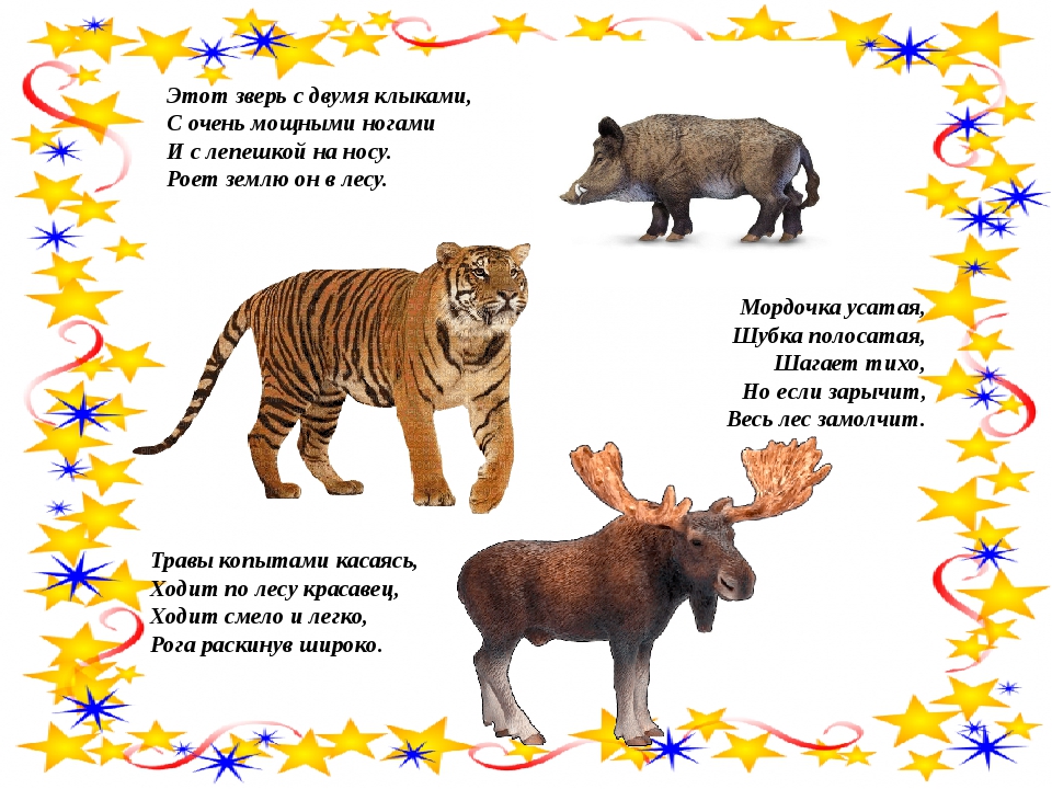Детские загадки про животных с ответами