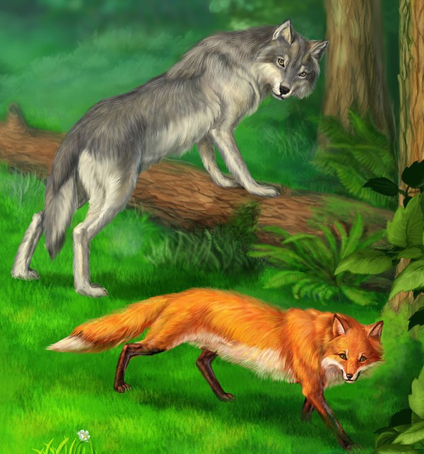 Волк и лис - сказки братьев гримм