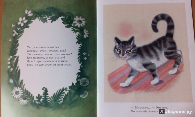 50 детских стихов про котят, кошек и котов