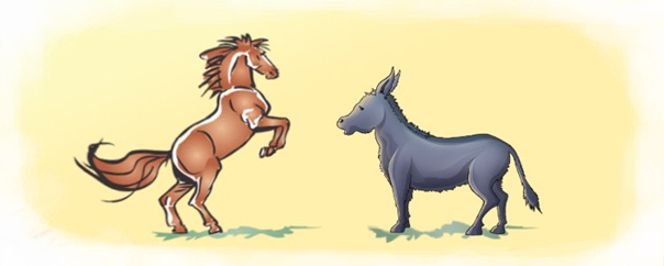 Толстой осел и лошадь главная мысль. скрещивание лошадей: виды
