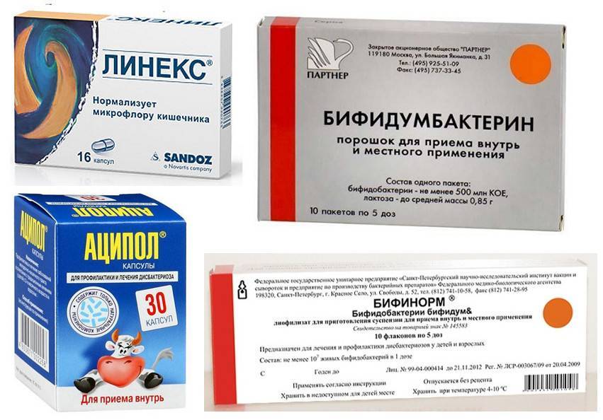 Как правильно пить антибиотики | медицинский центр «президент-мед»