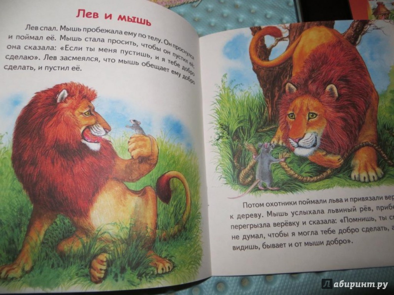 Читать сказку сказки про шакала и льва - арабская сказка, онлайн бесплатно с иллюстрациями.