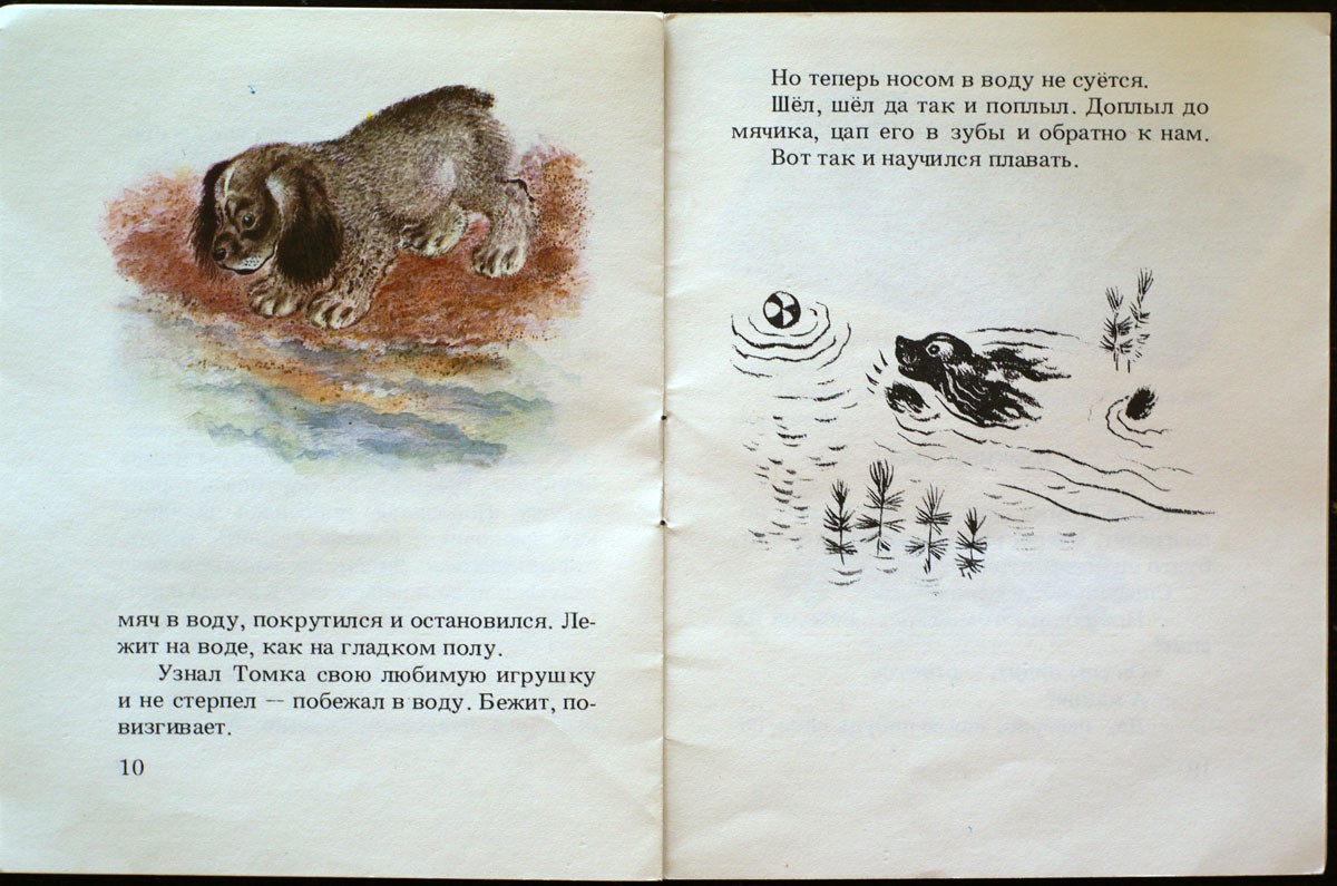 Читать сказку тюпа, томка и сорока - чарушин е. - отечественные писатели, онлайн бесплатно с иллюстрациями.