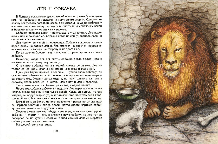«лев и собачка» — краткое содержание рассказа л.н. толстого