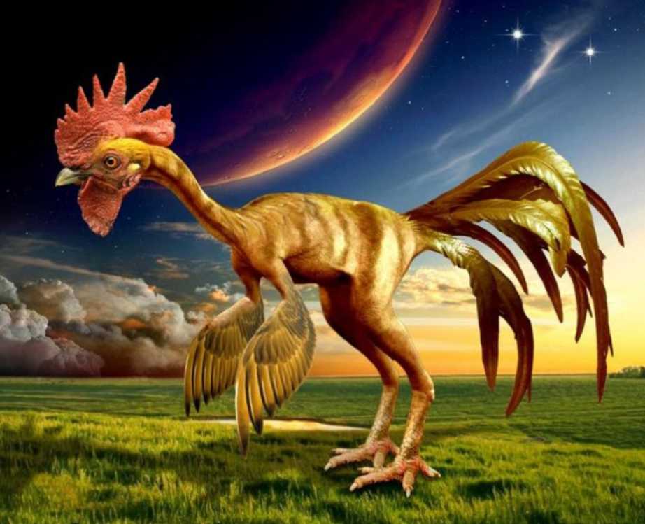 10 книг для погружения в историю и науку