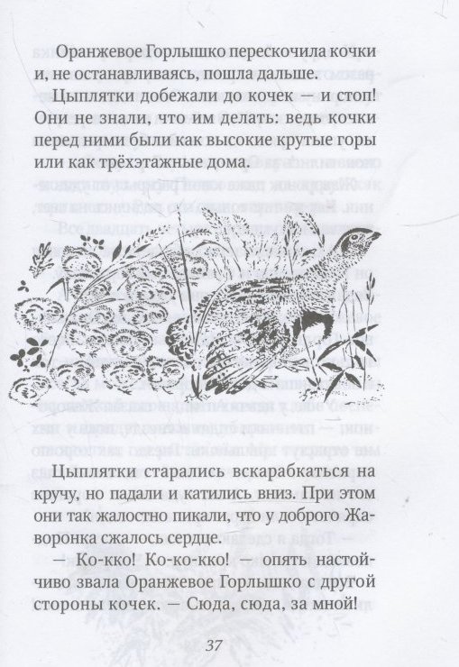 Оранжевое горлышко - бианки виталий валентинович - страница 1