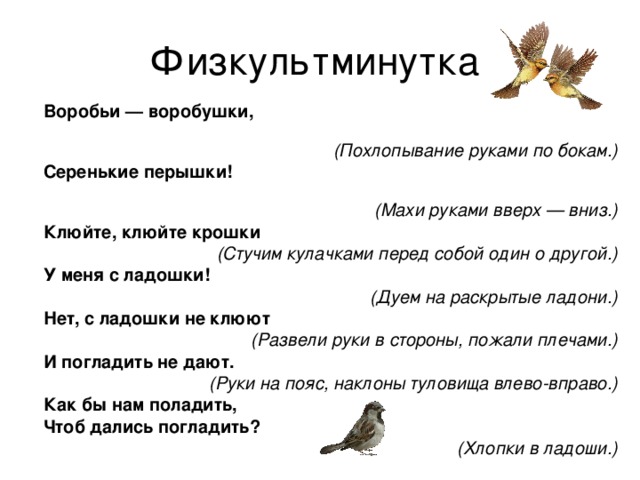 Сказки про птиц 🐧