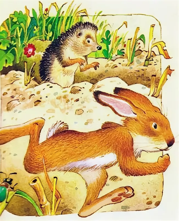 Заяц и еж братья гримм сказка с иллюстрациями