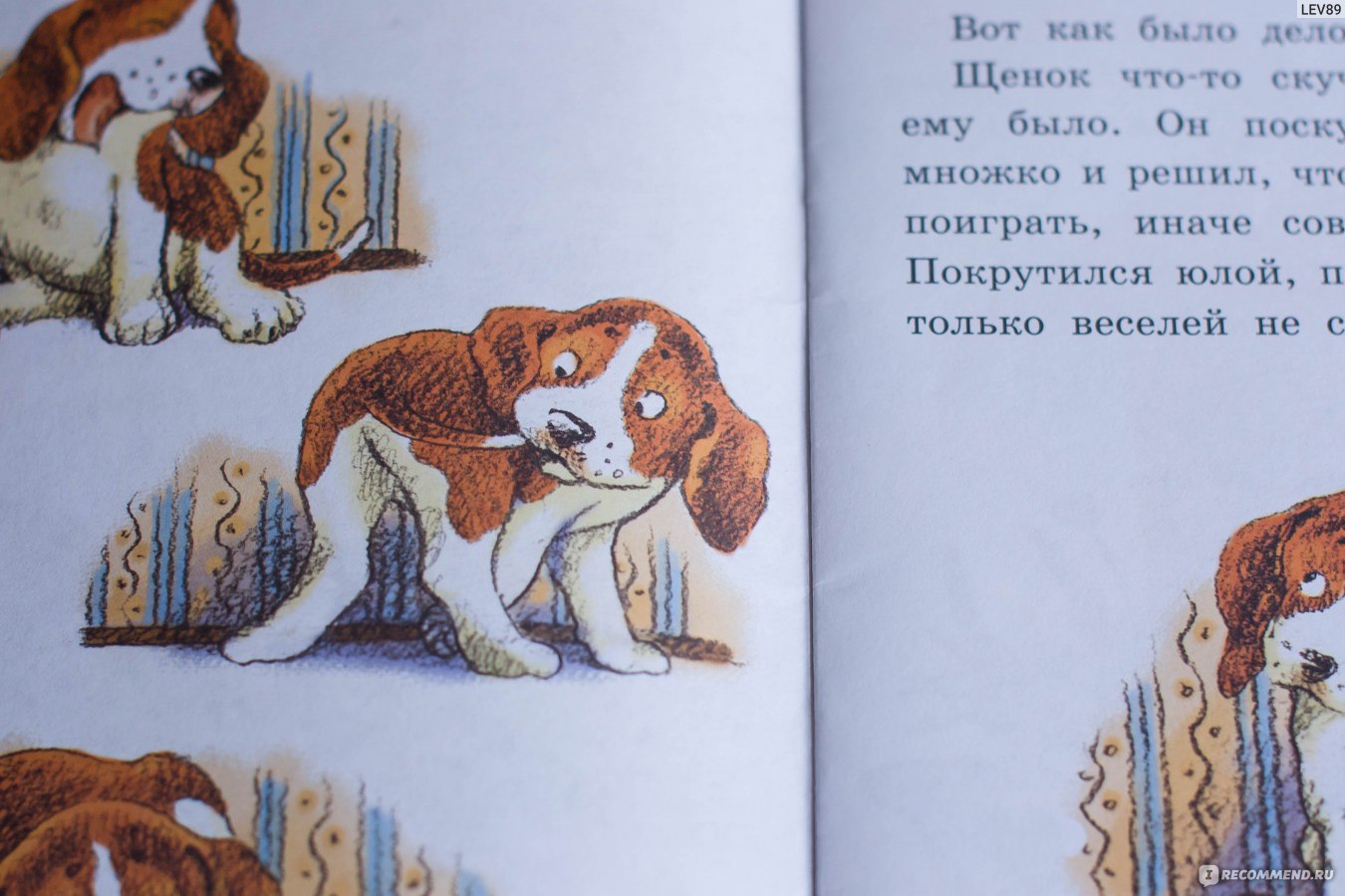 Латка скачать pdf книгу бианки виталий валентинович, читать онлайн