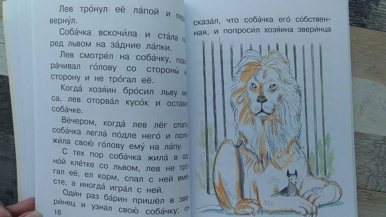 Сказка лев и собачка