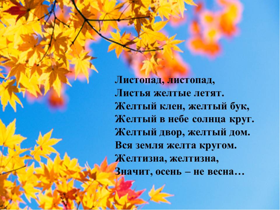 Красивые, интересные стихи про осень на конкурс чтецов русских и современных поэтов для 1-2-3-4-5 классов