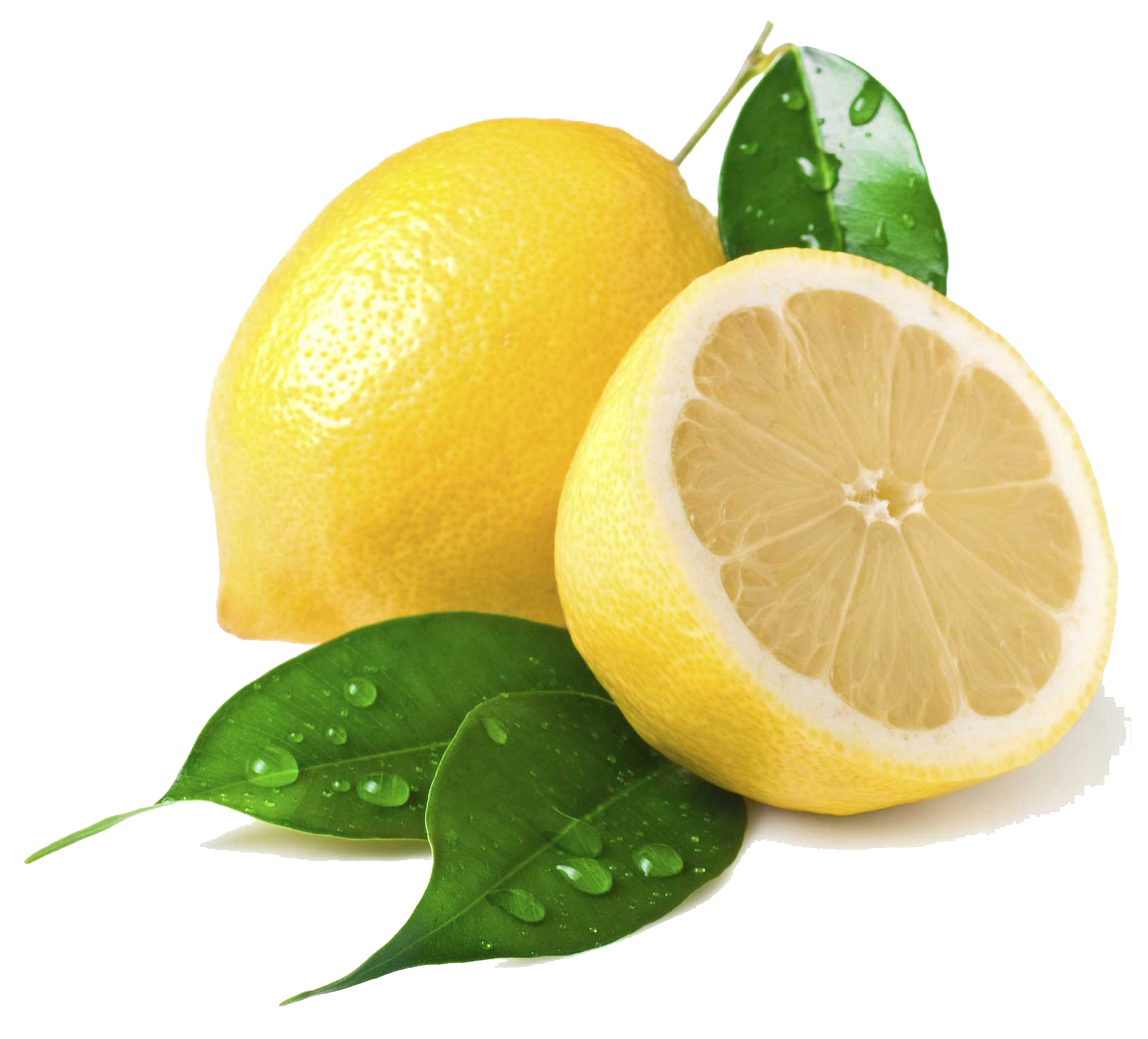 Лимон — рассказ михаила пришвина