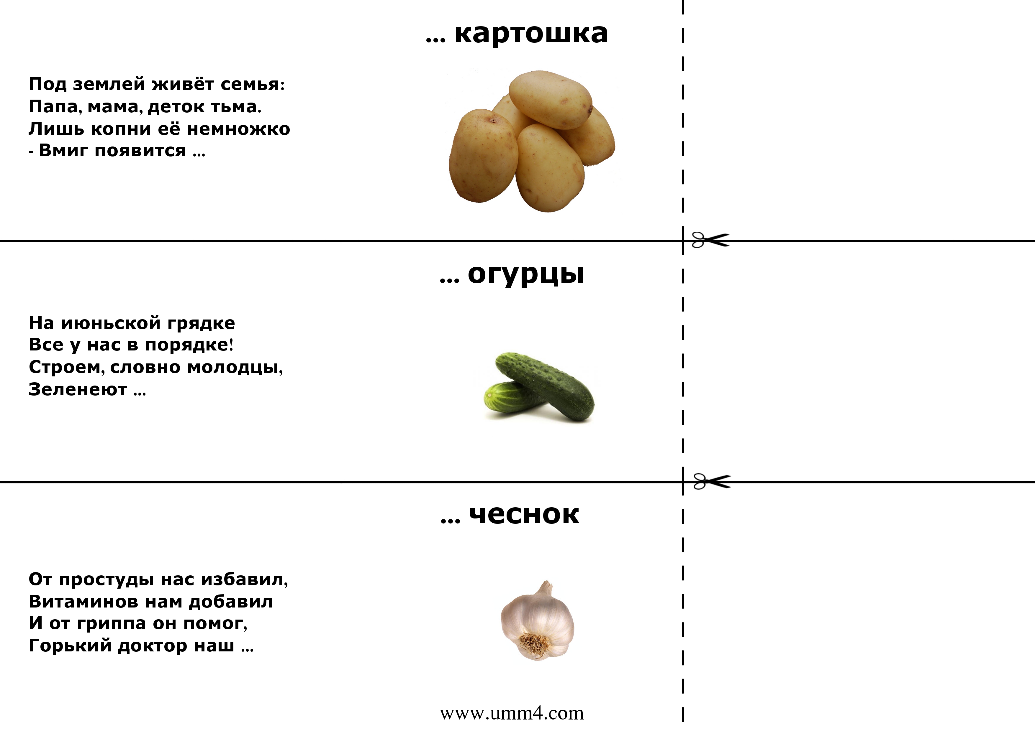 «русский хлеб» – зовём мы крошку. загадки про картошку