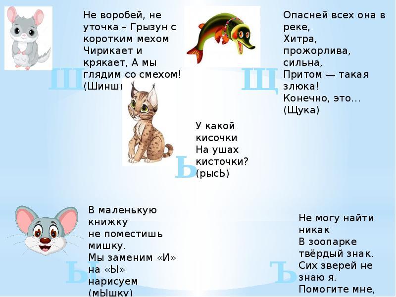60 интересных загадок про кошку для детей с ответами