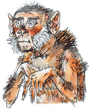Читательский дневник по рассказу «про обезьянку» бориса житкова