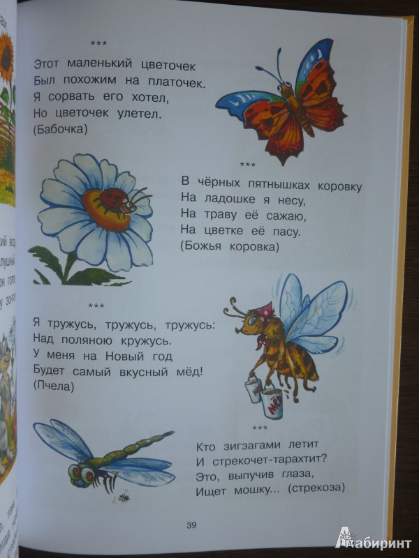 Загадки для детей про бабочек с ответами: простые, сложные, интересные и короткие про самых красивых насекомых