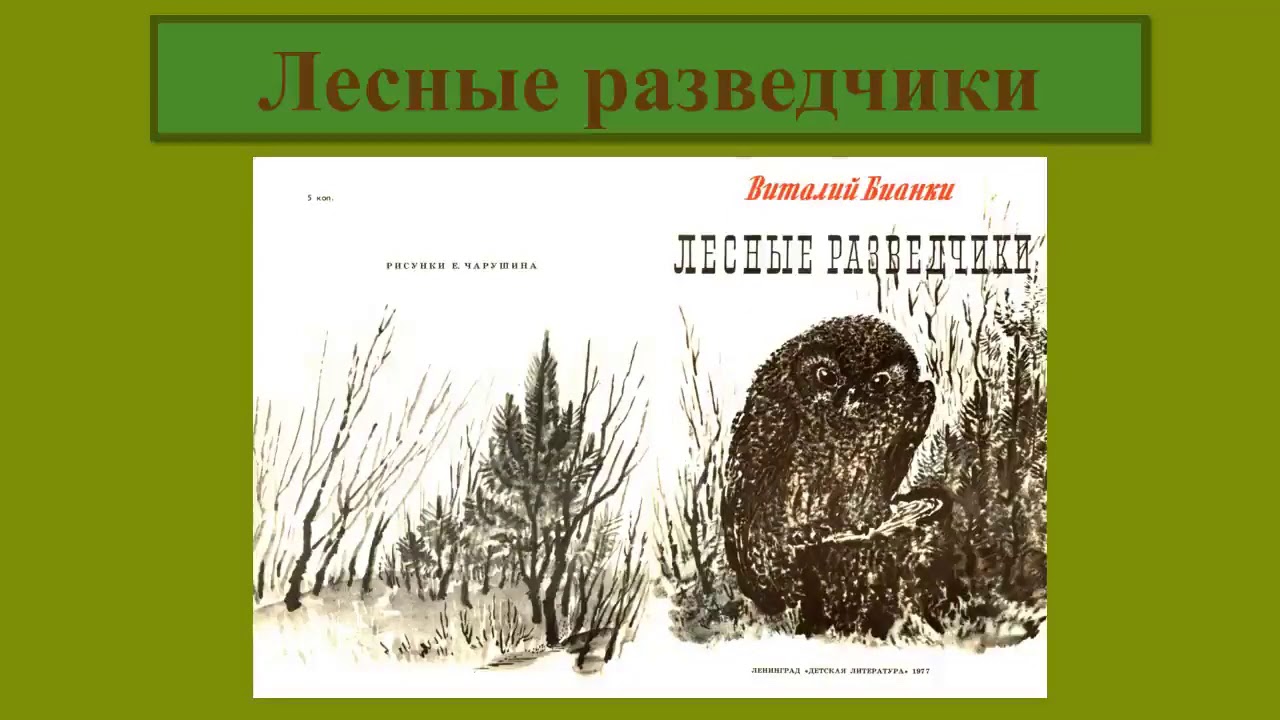 Виталий бианки ★ лесные разведчики (сборник) читать книгу онлайн бесплатно