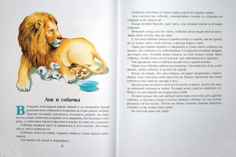 Читательский дневник «лев и собачка» льва толстого