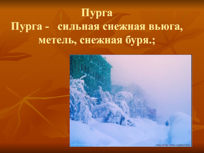 Стихи о севере | antrio.ru