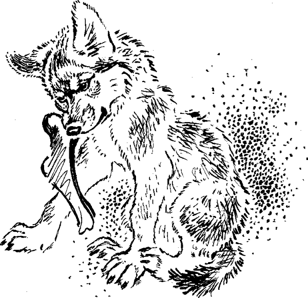 Читать сказку рассказы о животных - житков б. - отечественные писатели, онлайн бесплатно с иллюстрациями.
