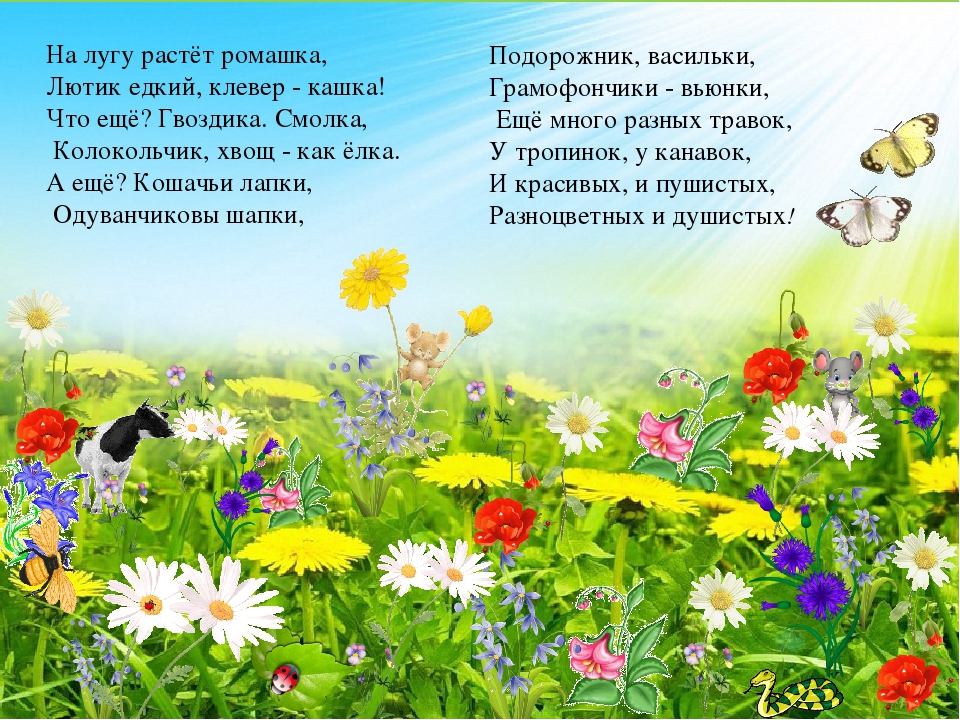 Стихи про цветы для детей современных поэтов и русских классиков