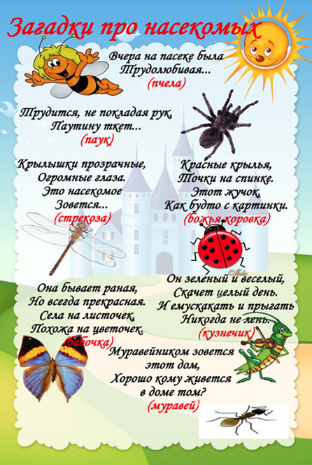 Путешествие в мир насекомых. стихи детям про насекомых
