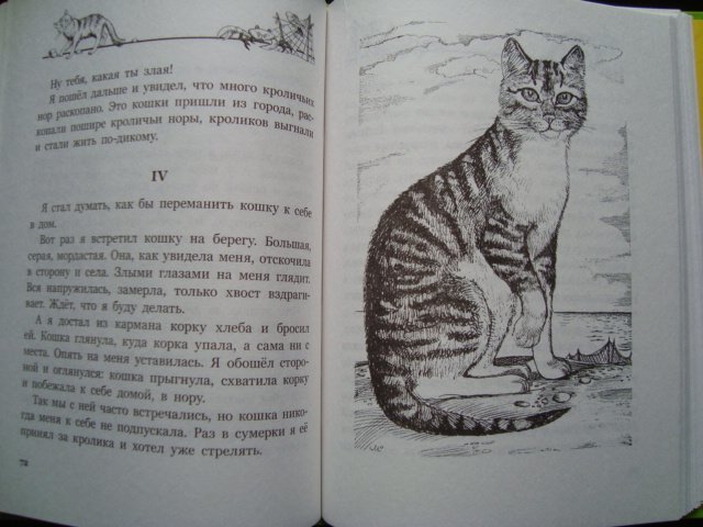 Беспризорная кошка (б.с. житков). очень краткое содержание