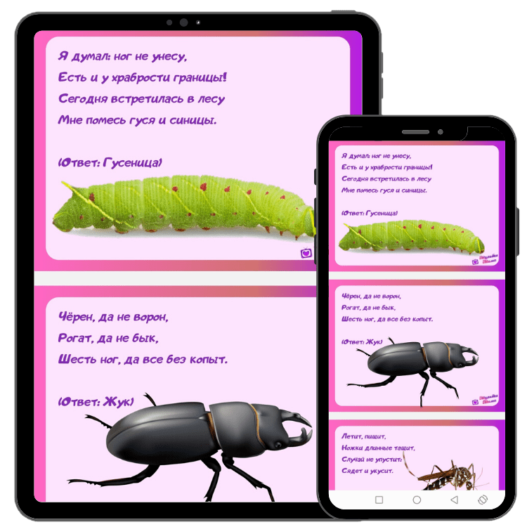 Загадки про насекомых для дошкольников