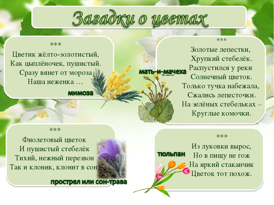Русские народные загадки о растениях, животных, человеке, явлениях природы, технике и труде, учебе и отдыхе