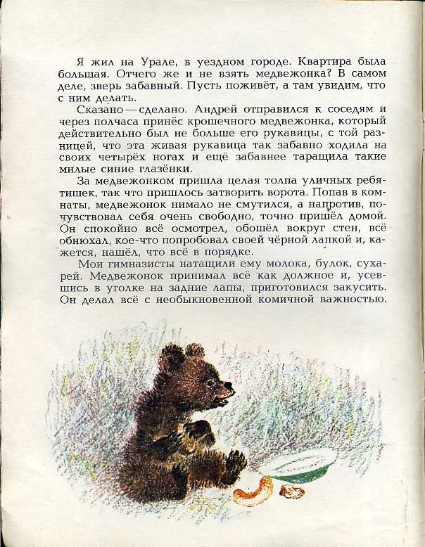 Сказка медведко. мамин-сибиряк ~ я happy мама