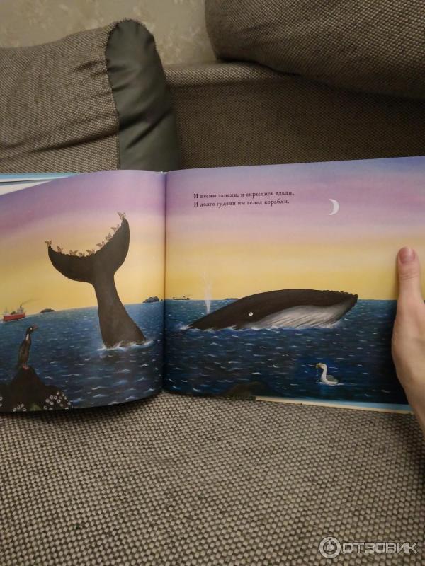 Джулия дональдсон: улитка и кит (сказка, иллюстрации акселя шеффлера.) читать онлайн бесплатно