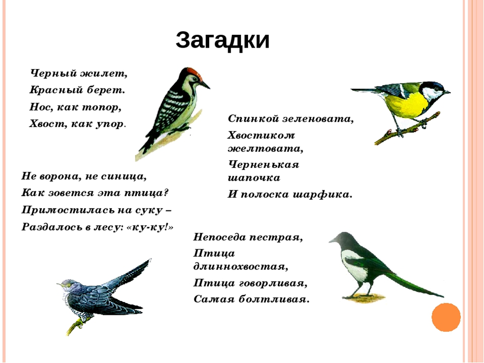 Избранные рассказы для детей о птицах