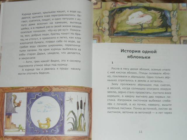 Ушинский «история одной яблоньки» читать - детский час