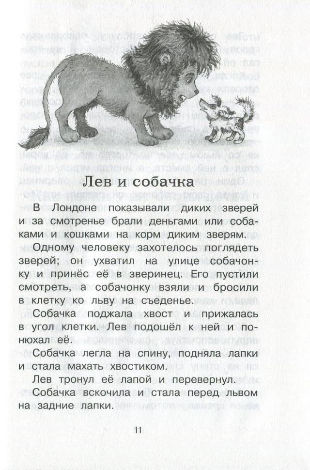 Рассказы толстого льва николаевича – наумёнок