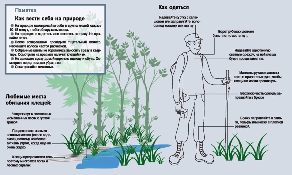 Что сегодня нужно знать о клещах и как защититься