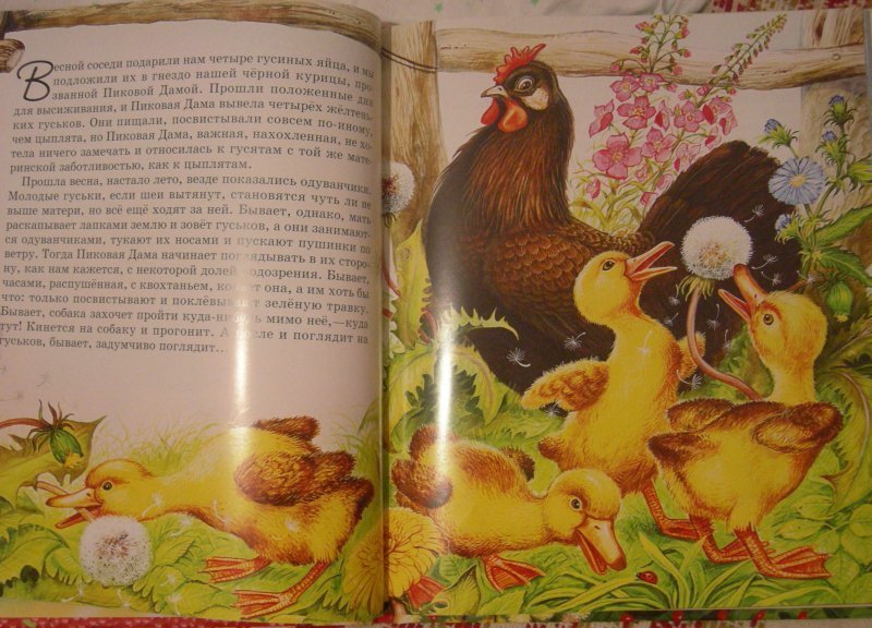 Курица на столбах скачать epub, fb2 книгу пришвина михаила михайловича, читать онлайн