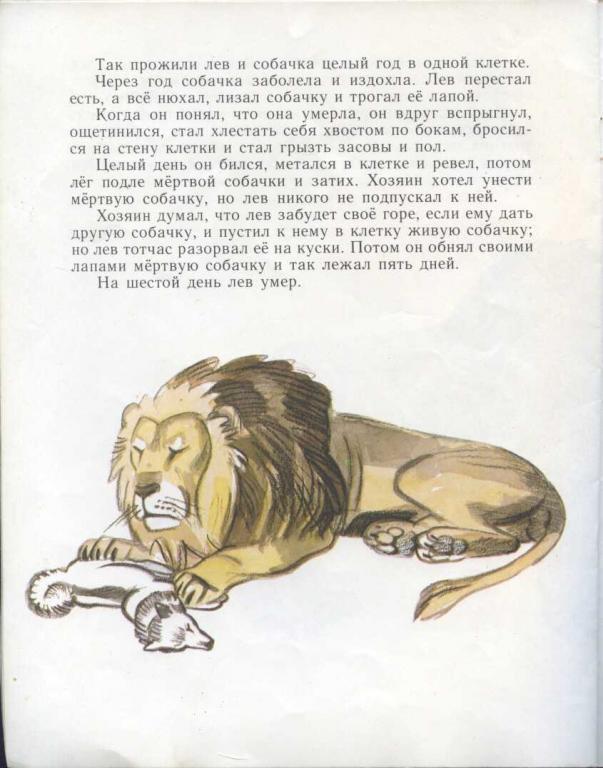 Лев и собачка / л.н. толстой - читать онлайн, скачать, печатать текст