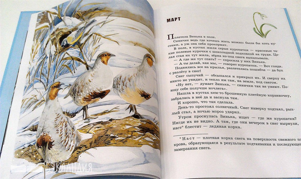Книга рассказы о природе читать онлайн бесплатно, автор виталий бианки – fictionbook