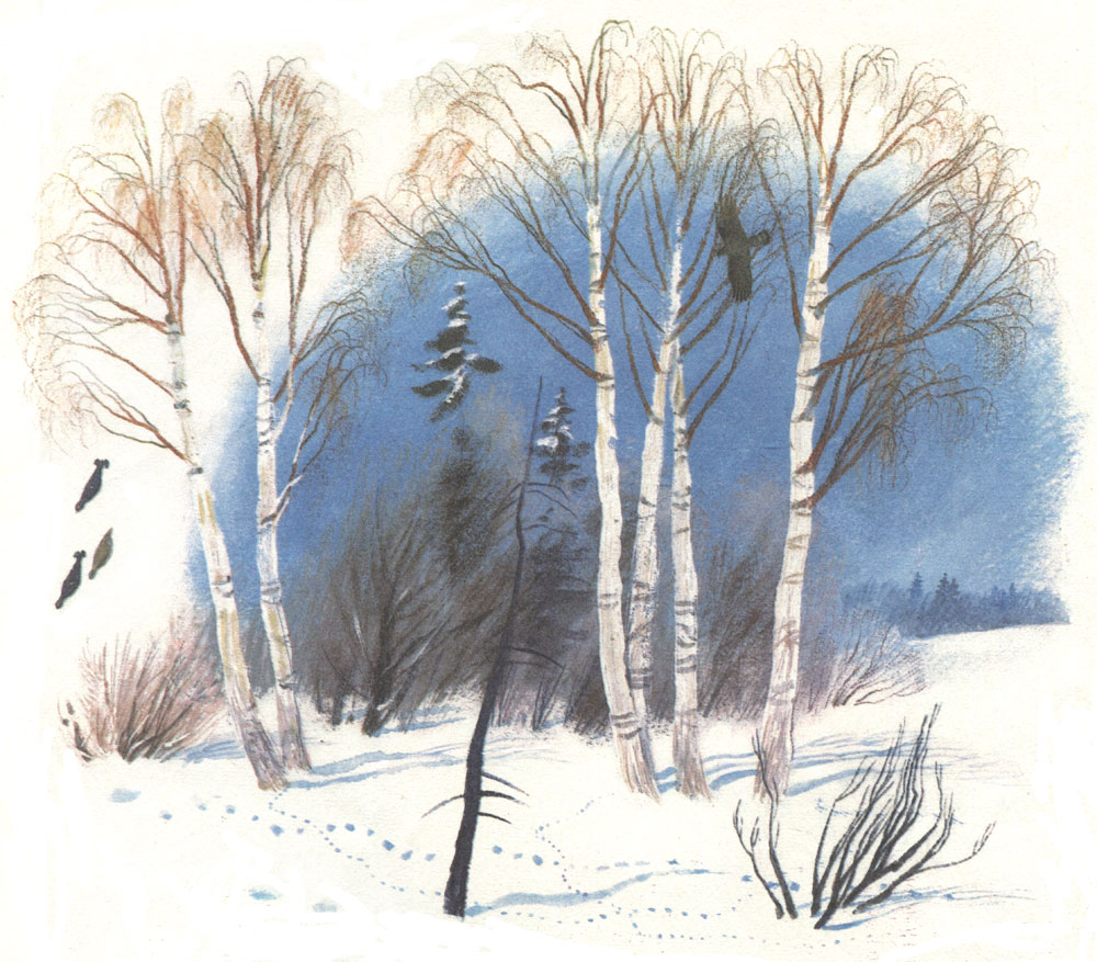 Читать сказку птицы под снегом - михаил пришвин, онлайн бесплатно с иллюстрациями.