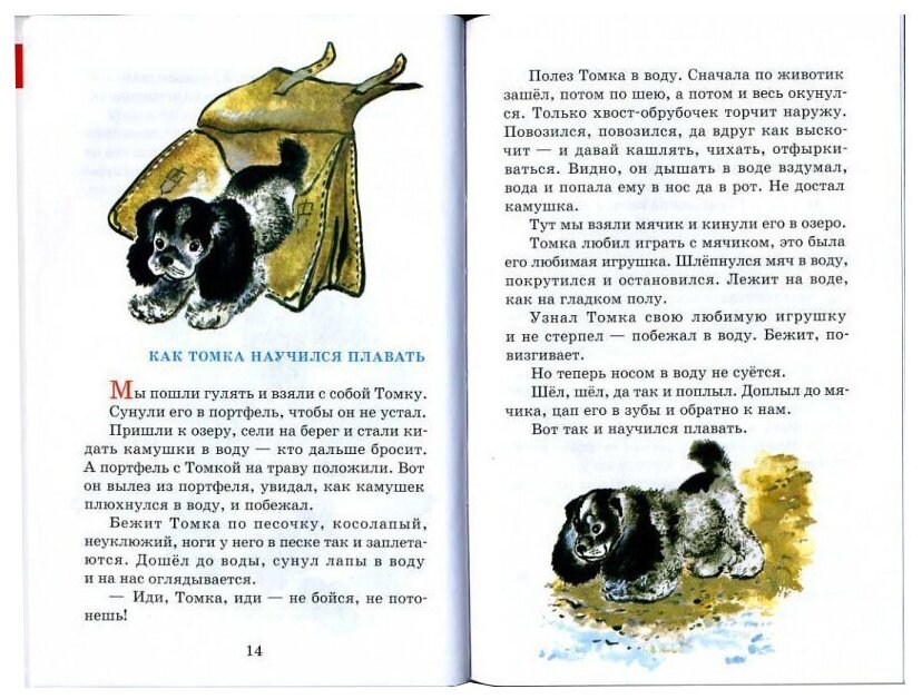 Чарушин е. и. рассказы о животных для детей