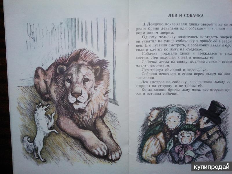 Толстой «лев и собачка» читать текст